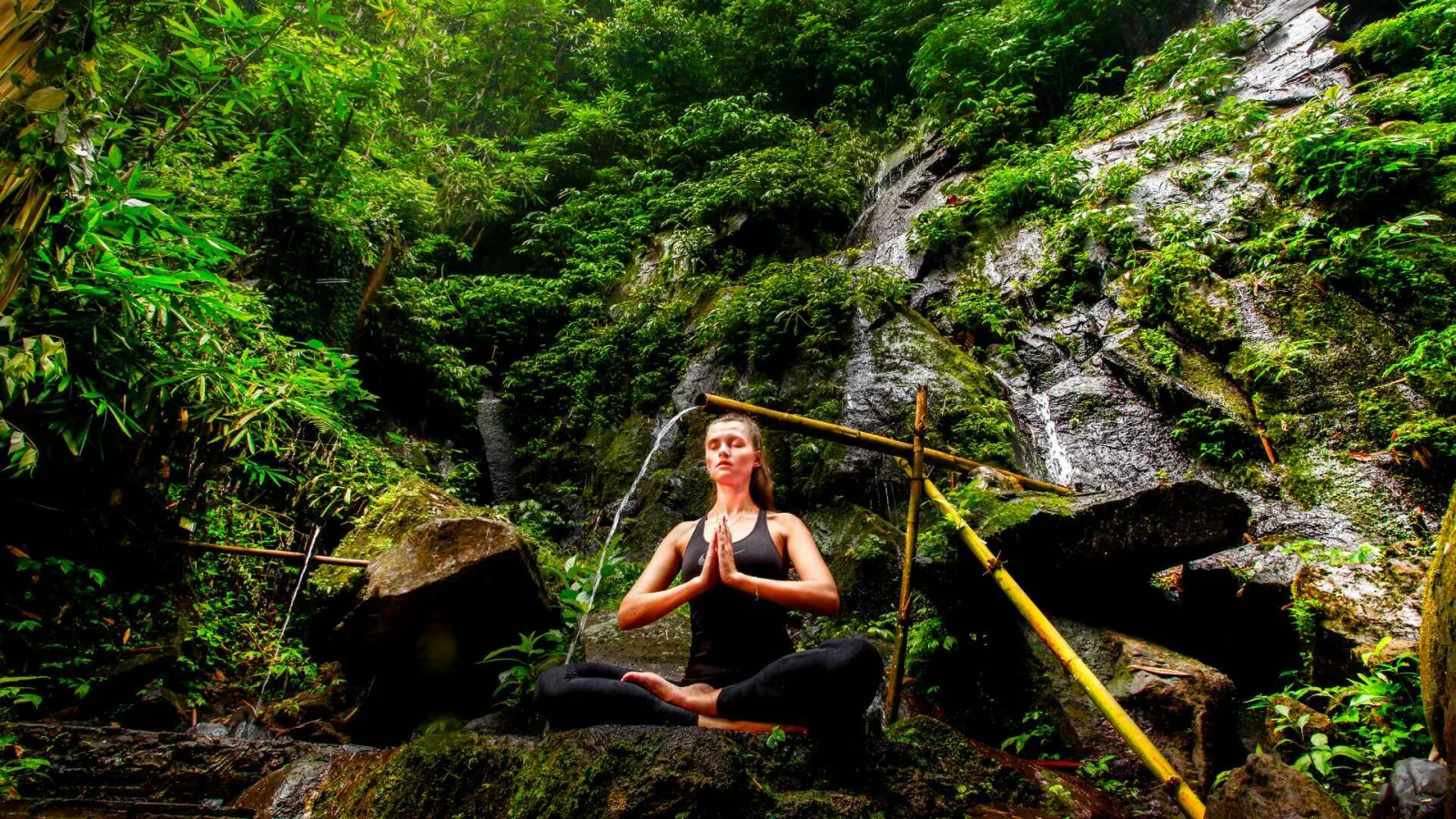 Self-Healing Day Pass | Sacred River Wellness Experience