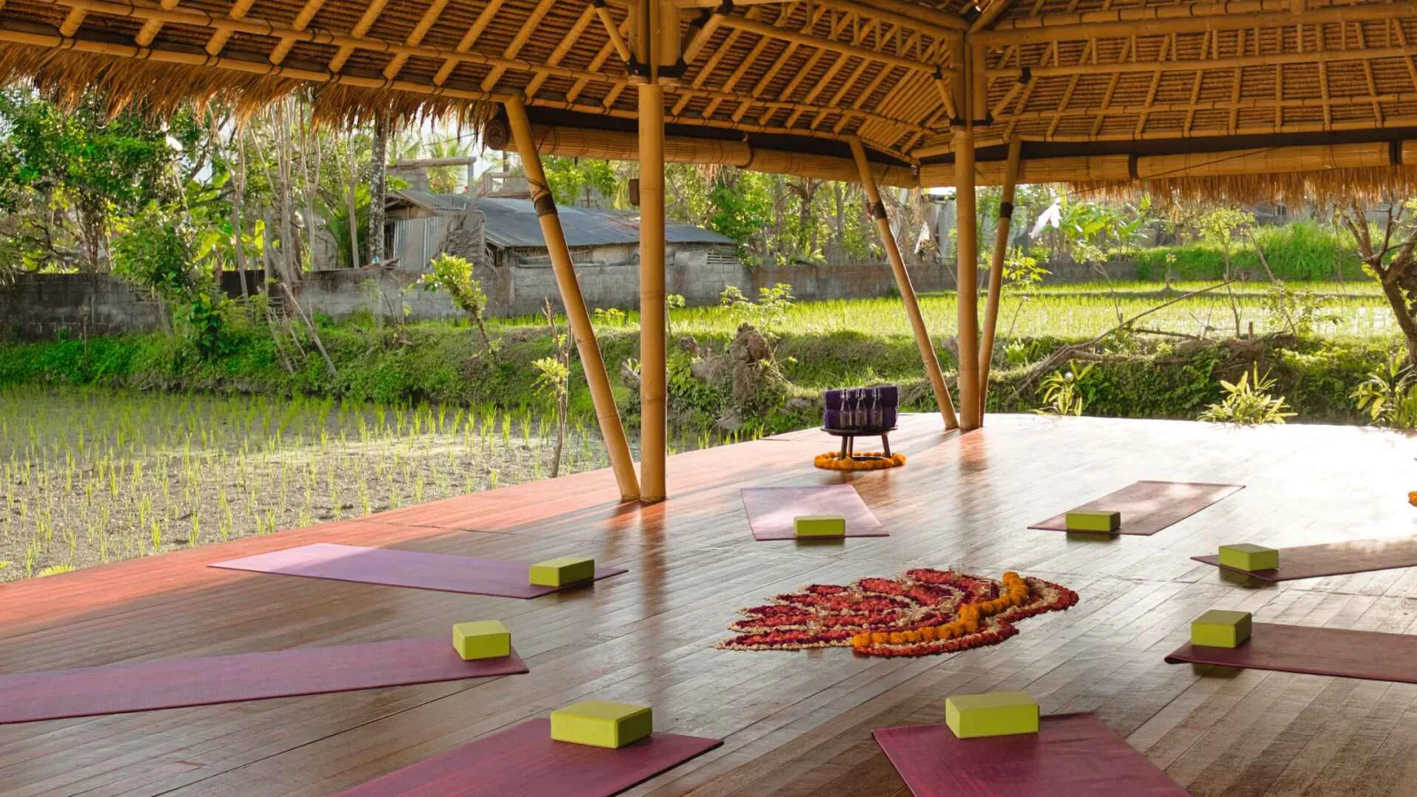 Hatha Yoga & Lunch | Wellness Experience in Nature